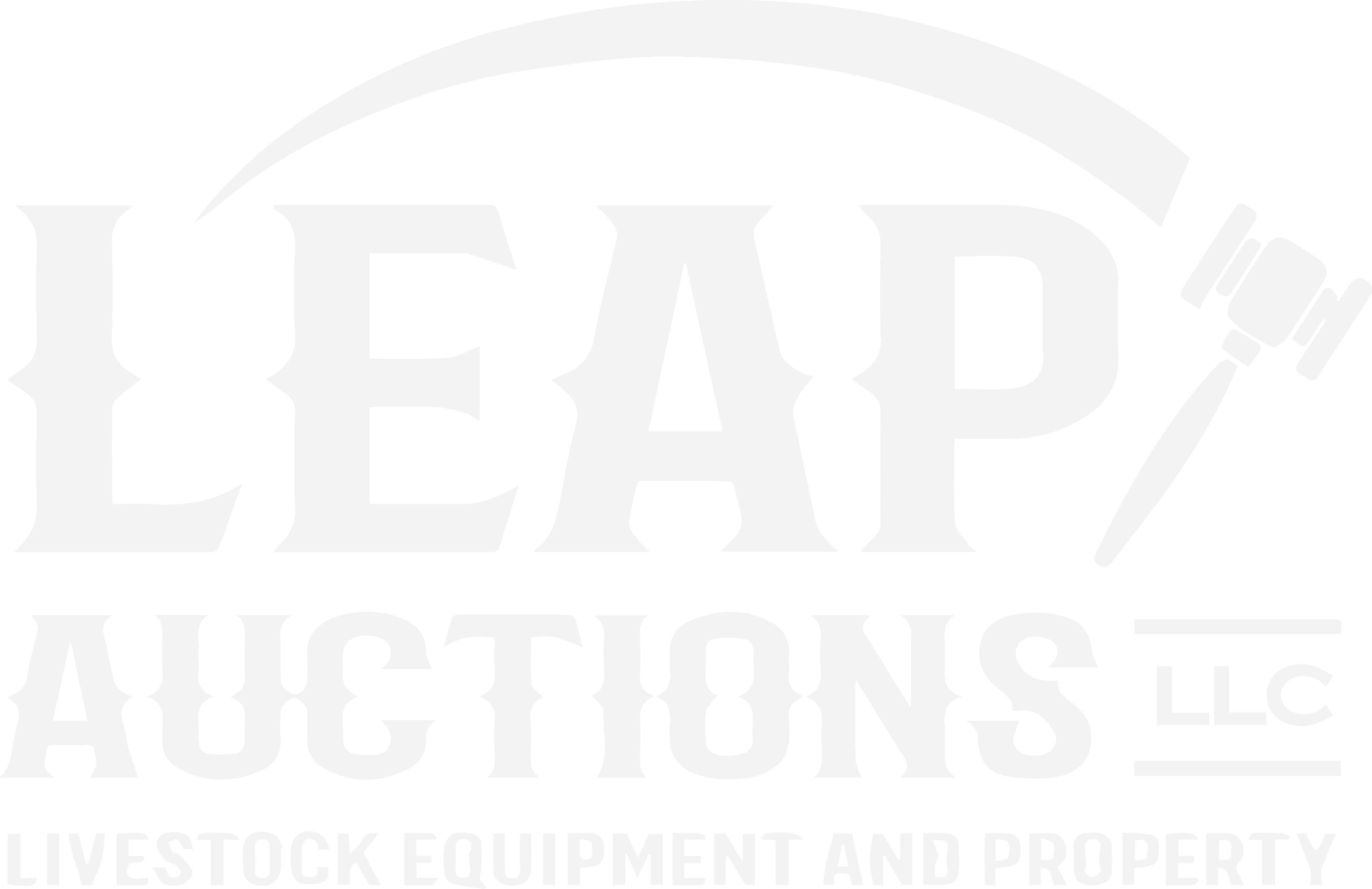 Leap Auctions, LLC